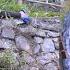 The Engineer S Poor Pregnant Daughter She Kindly Saved The Puppy In Distress