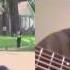 MonoNeon Publio Delgado Guitar RUBY EVANS NEWS INTERVIEW
