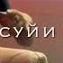 BASSTER БЕМОРУ БЕ НАФАС МОНДАМ New Video 2024 Bassterofficialch Dilovaroff Top Music