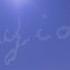 Guy Mantzur Tamir Regev Stargazer
