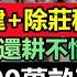下令全村不留一棵樹 第一季度已完成高標準農田1900萬畝 不惜代價種糧食 退林還耕一發不可收拾 好好的莊稼被挖平 村民人心惶惶 農村最後一片淨土淪陷 退林還耕 農管