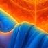 Исцеление во Время Сна Музыка для Сна 432 Гц Частота Счастья