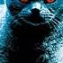 Кладбище домашних животных Pet Sematary 1989 Трейлер к фильму