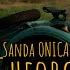 Sanda Onica Hai Gheorghita Videoclip Oficial 2025