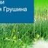 44 ый Грушинский Фестиваль 2017