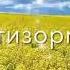 Э дил балои Дилбар