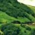 Road To The Mount Shah Suv