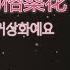 欣宝儿 흔보아 我是你的格桑花 나는 당신의 거상화예요 중국노래 가사번역