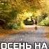 Осень на дворе Золотая осень Здравствуй осень осень осеньпришла музыкальнаяоткрытка