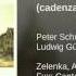Laudate Pueri In D Major ZWV 81 I Laudate Pueri Cadenza By L Güttler