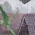 When You Need Peace Try Listening To The Sound Of Rain At That Time Peace Will Come ASMR