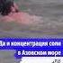 10 интересных фактов про Азовское море культурныйминимум