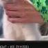 귀청소가 이상한 아기고양이 댓글반응