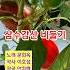 고향 노래방 삼수갑산 비둘기 문희옥 8090 Lp엘피