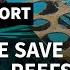 Saving Our Coral Reefs Scientists Bet On Tech And Next Generation AFP