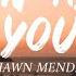 Shawn Mendes Fallin All In You Lyrics