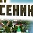 Не унывайте и не отчаивайтесь и надежда ваша на Господа спасет вас старец Георгий Задонский