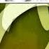 MediaAmongUsEffects102 Jorby 7 0 Logo Sparta Remix TheKantapapa Inspiron Veg