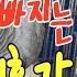 내 나이 묻지 마세요 내 이름도 묻지 마세요 대한민국 앵무새 똘이 연구대상 K Gray Parrot