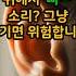 귀에서 삐 소리 그냥 넘기면 위험합니다 건강정보 이명