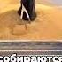 Вот как в Китае используют подсолнух