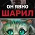 Про скорости мира Мощнейший тэйк Подпишись чтобы не пропустить следующий выпуск