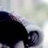 Ruyonga This City Official Video Feat JGivens IC Jonez Ruyongamusic PRAY4JGivens ICJONEZ