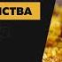 Восковая моль огневка применение и лечение Лечебные свойства настойка