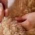 Комплекс актив ЭНЕРГИЯ МОЛОДОСТИ от компании ЗооЛаб Www Zoolaboratory Ru