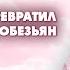 Тафсир суры Аль Бакара 65 66 аяты Шейх Усман Аль Хамис