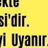 Gökhan Ra Dışarısı Gerçekte İnsanın Bahçesi Dir Tanırsa Bahçesini Uyanır