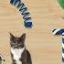 CAT Games Ultimate Cat Toy Compilation Vol 8 50 Games In 1 8 HOURS