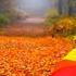 Relaxing With A Cup Of Coffee With The Sound Of Soft Rain Soothing Piano Music