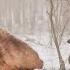 Война и музыка Павел Прилучный в первый день съёмок фильма