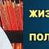 ЖИЗНЬ КОРОТКА И ПОЛНА ИСПЫТАНИЙ Усман Аль Хамис