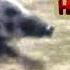 Не уловимые мстители Погоня погоня погоня погоня в горячей крови Обезьяны сб