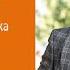 А П Чехов рассказ холостяка ДУРАК