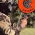 Stop Scrolling Go Outside And Train Army Military Nightvision