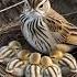 Tawny Pipit Nest Hidden Among Dry Weeds Pipit Nature Birds Birdnest Wildlife Birdsounds Bird