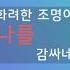 화려한 조명이 한 시간동안 나를 감싸네