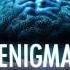 Why Join ENIGMA Discussing ENIGMAtters With Scientists From Around The World