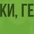 Вулканы Горячие источники гейзеры Видеоурок по географии 5 класс