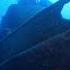 Deep Sea Creatures Secrets Of Twilight Zone Survival