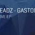 Filterheadz Gaston Zani Perspective Tronic