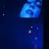 Hit Me Hard Soft Billie Eilish Sydney 2025 Full Concert Fan Cam 4K