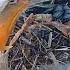 Big Bear Bald Eagle Live Nest Cam 1