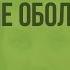 Воздействие организмов на земные оболочки Видеоурок по географии 6 класс