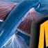 Необычные животные летучая рыба описание