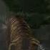 Far Cry 3 Tiger Attacks