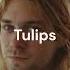 FREE Nirvana Kurt Cobain Alternative Rock Grunge Type Beat Tulips